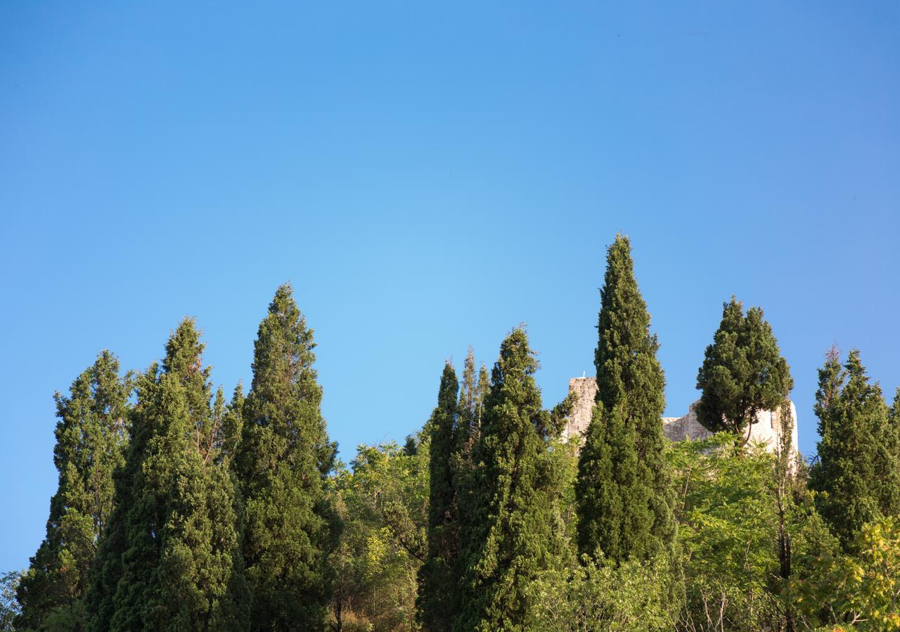 Apartmán Vasiliki Virpazar Exteriér fotografie